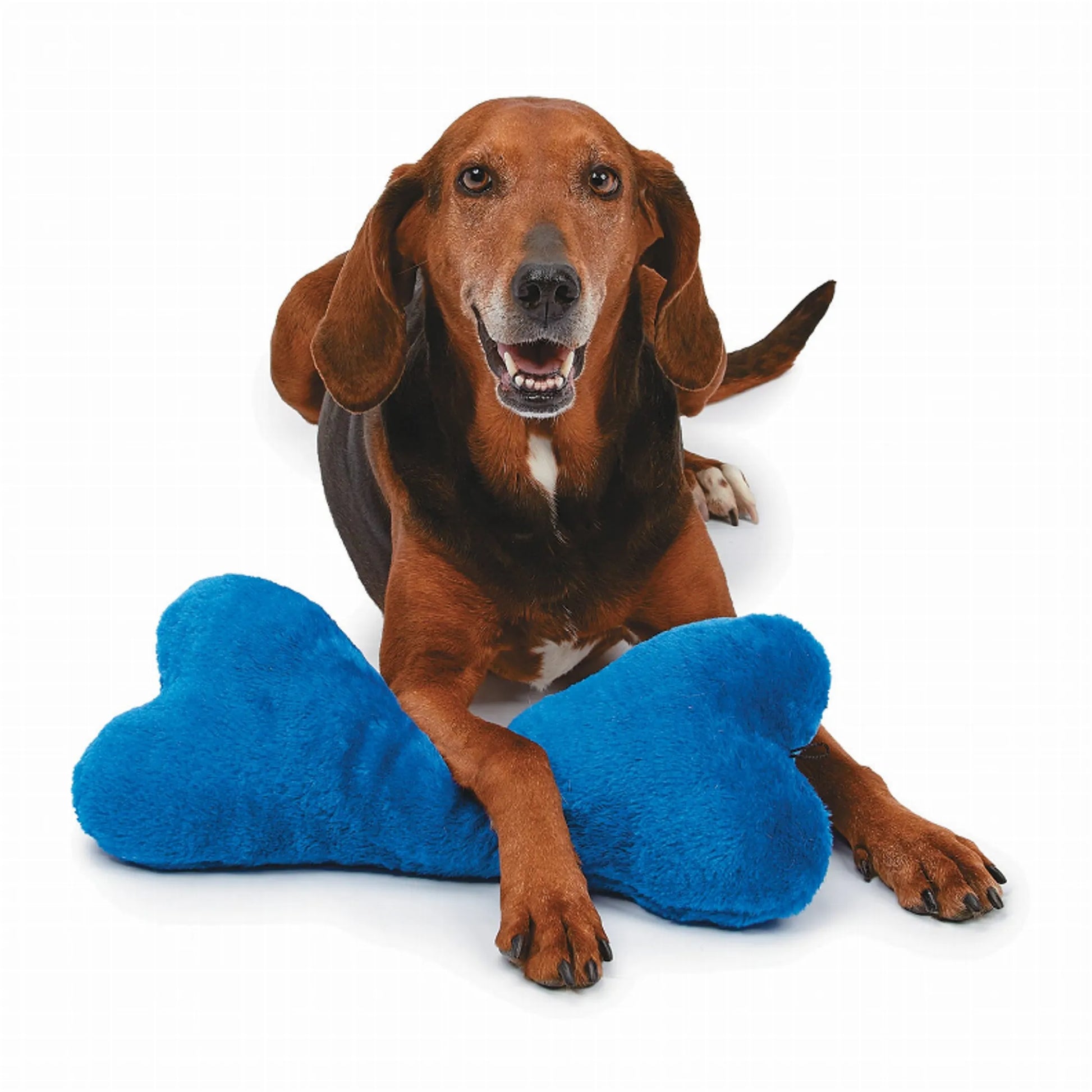 ZA Mega Color Plush Bone 16.5In Asst - Your Pet Connection
