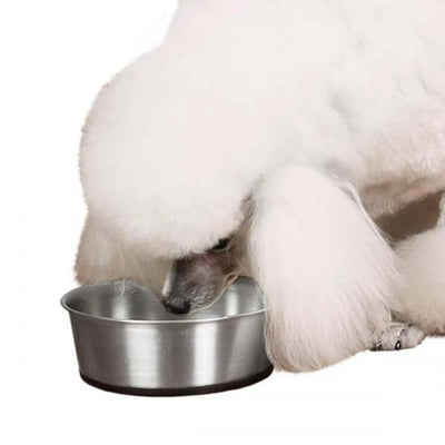ProSelect SS Bowl with Rubber Base 88oz - Your Pet Connection
