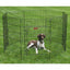 ProSelect Everlast XPen with Door - Your Pet Connection