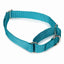 GG Nylon Martingale Collar 10-16In Blk - Your Pet Connection