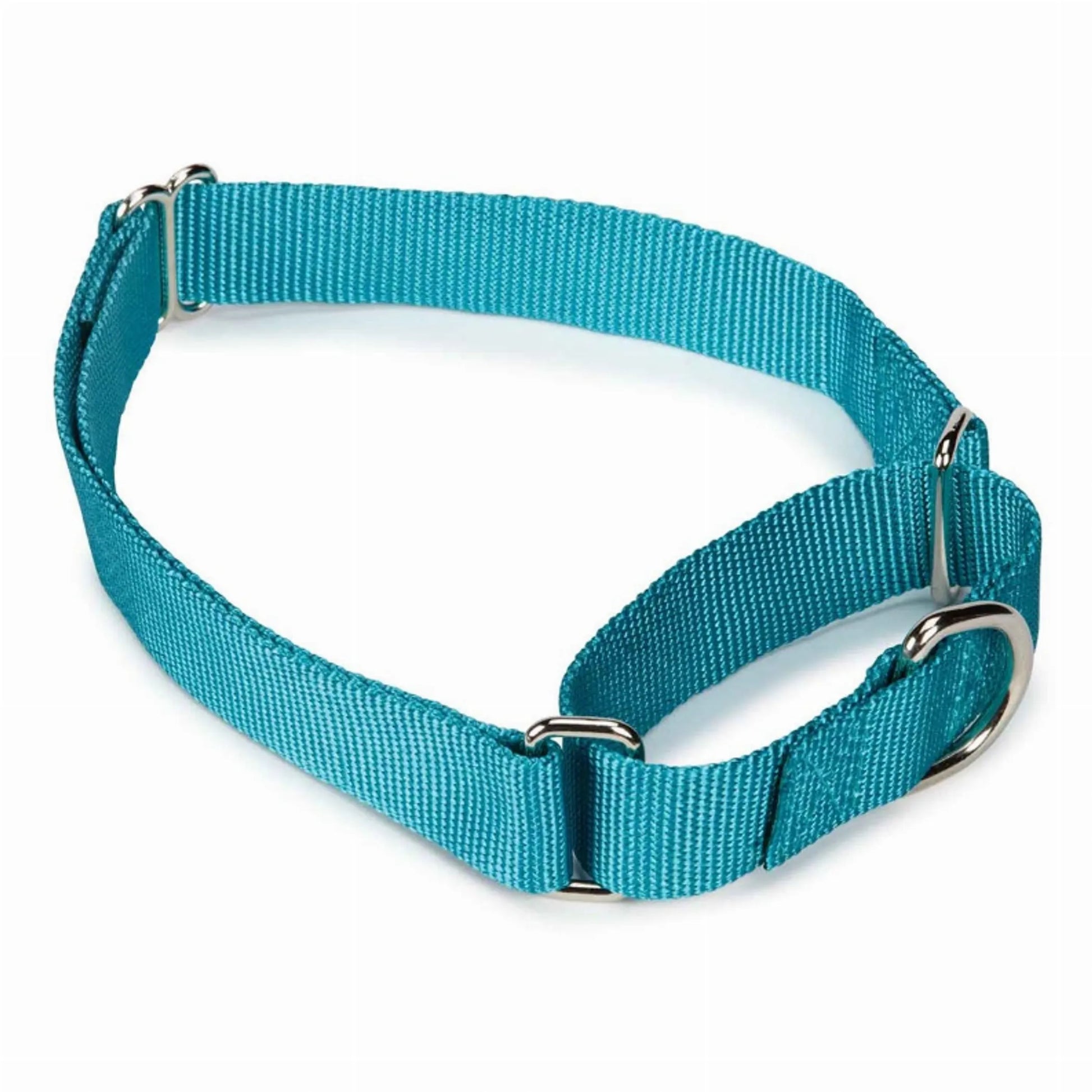 GG Nylon Martingale Collar 10-16In Blk - Your Pet Connection