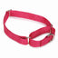 GG Nylon Martingale Collar 10-16In Blk - Your Pet Connection
