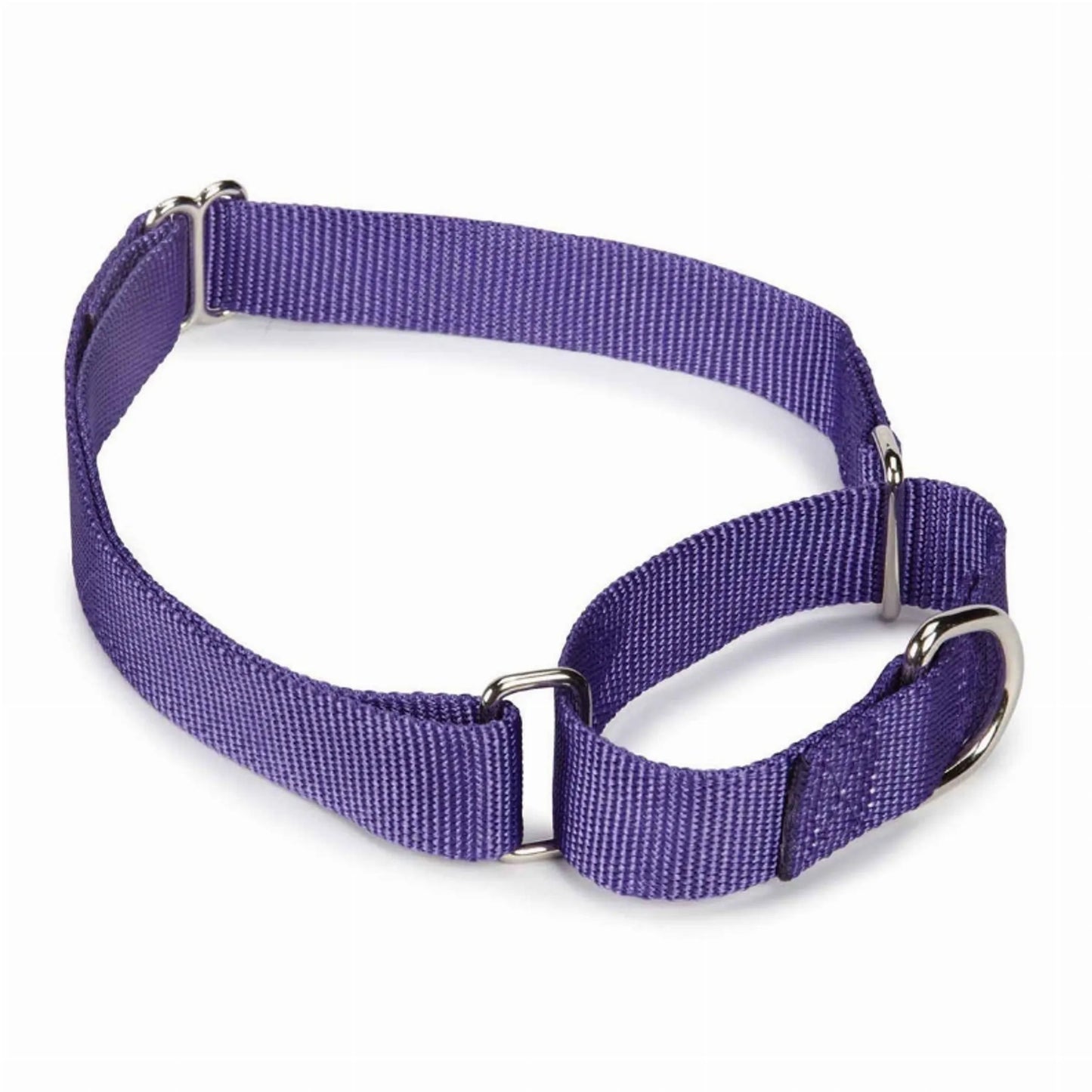 GG Nylon Martingale Collar 10-16In Blk - Your Pet Connection