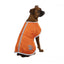 Zack & Zoey Nor'Easter Blanket Coat - Your Pet Connection