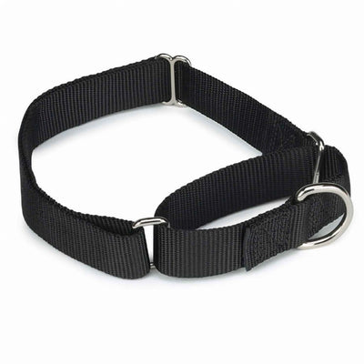 GG Nylon Martingale Collar 10-16In Blk - Your Pet Connection