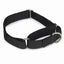 GG Nylon Martingale Collar 10-16In Blk - Your Pet Connection
