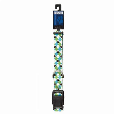 CC Patterns Collar Argyle 10-16In Blu - Your Pet Connection