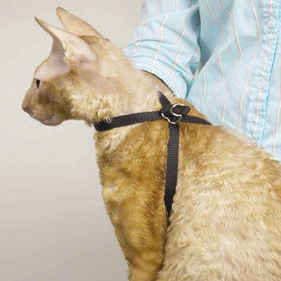TP Adj Nylon Groom Cat Harness 40In - Your Pet Connection