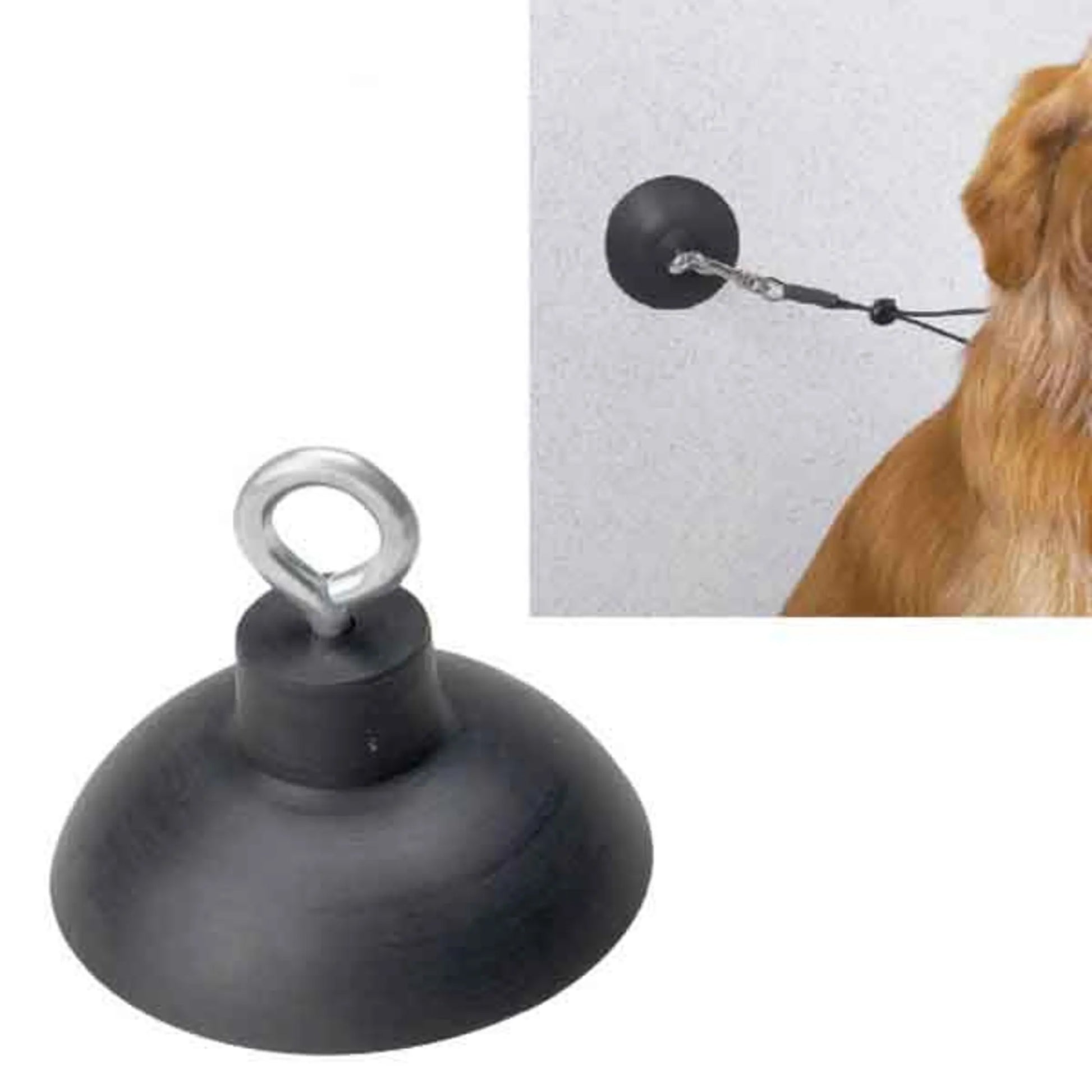 TP Suction Cup - Your Pet Connection