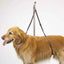 TP Nylon Table Harness 27In - Your Pet Connection