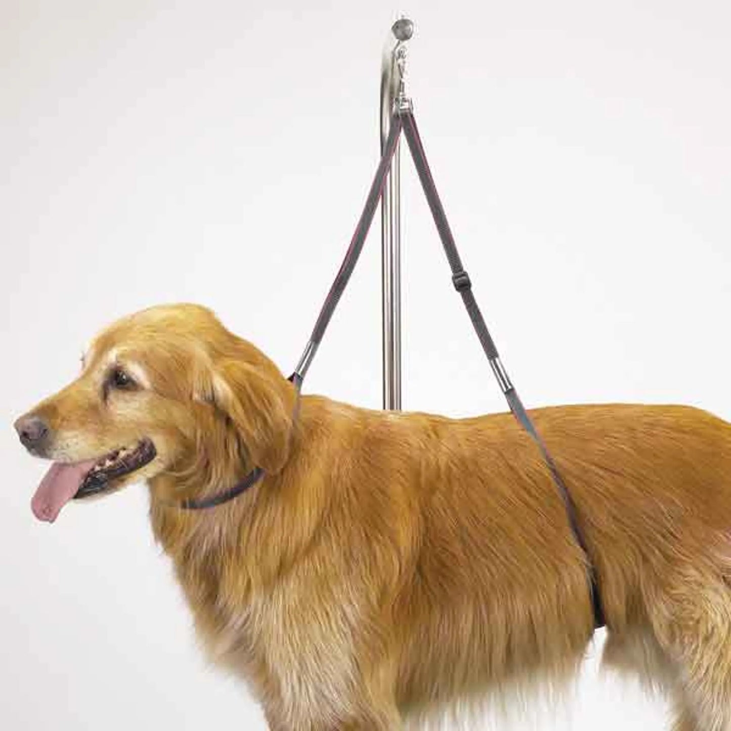 Top Performance Grooming Table Harness 27 Inches