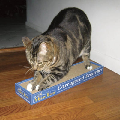 MT Corrugated Scratcher 19In - Your Pet Connection