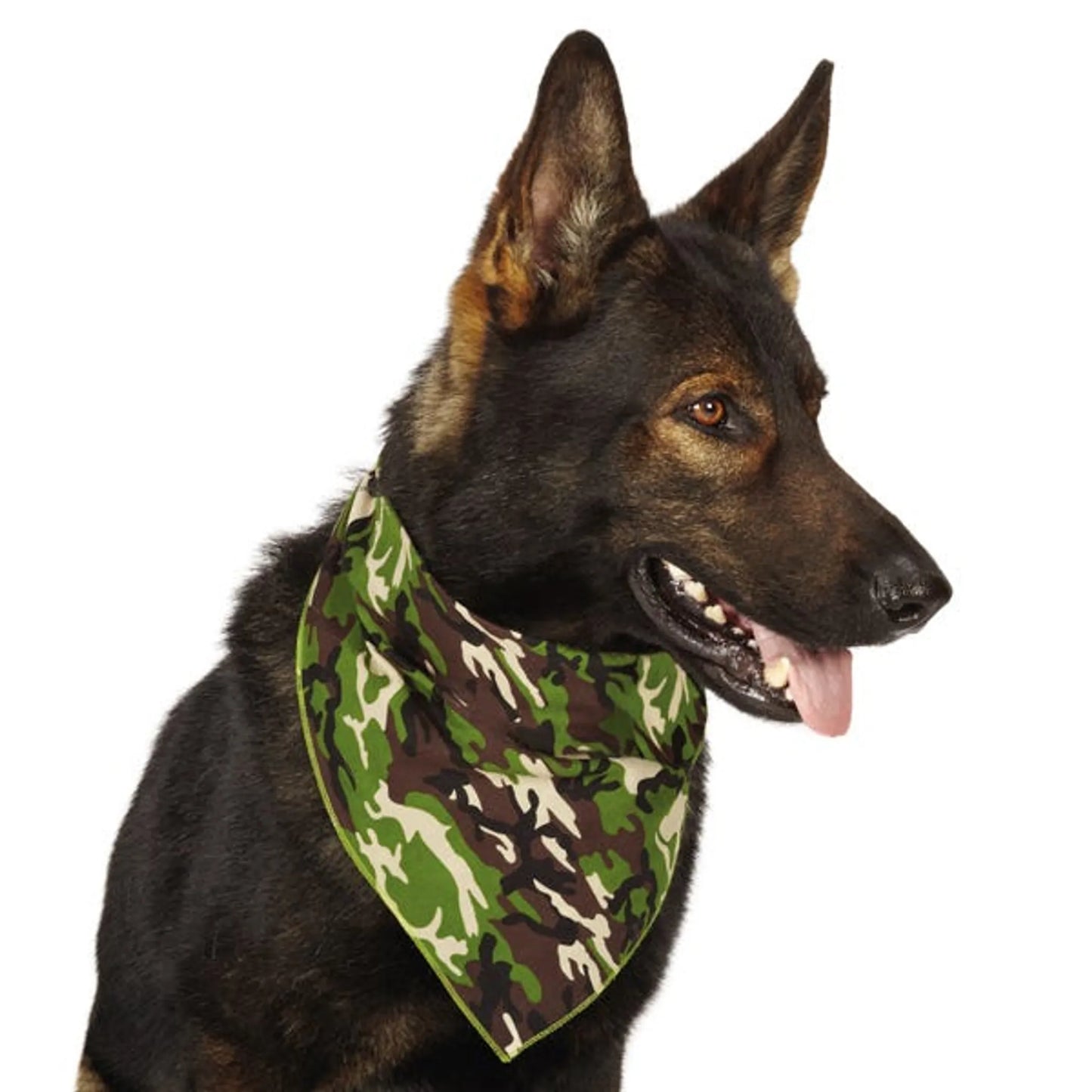 AR Camo Bandana Pnk - Your Pet Connection