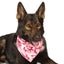 AR Camo Bandana Pnk - Your Pet Connection