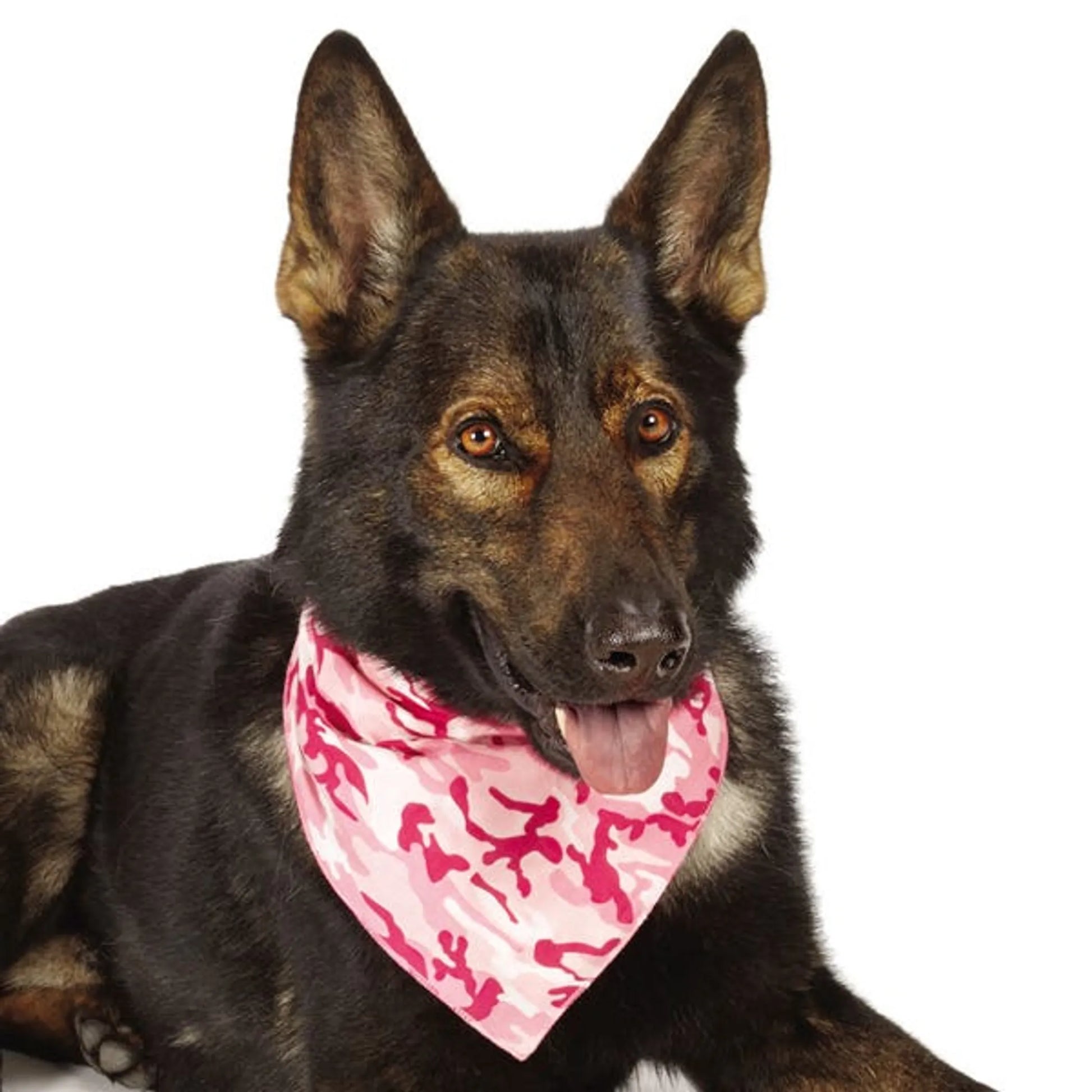 AR Camo Bandana Pnk - Your Pet Connection