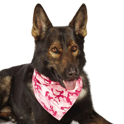 AR Camo Bandana Pnk - Your Pet Connection