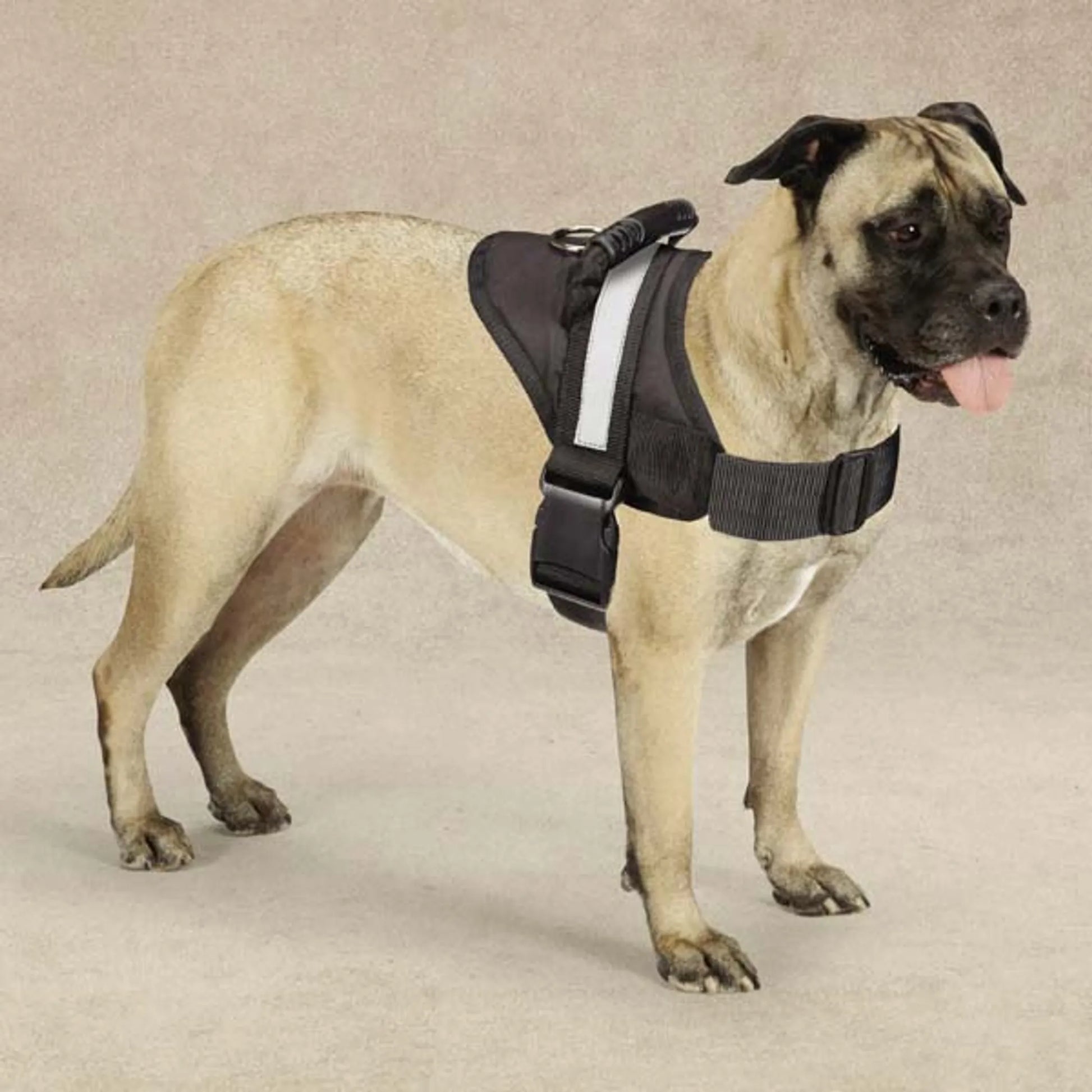 Guardian Gear Excursion Harnesses 36-46In - Your Pet Connection
