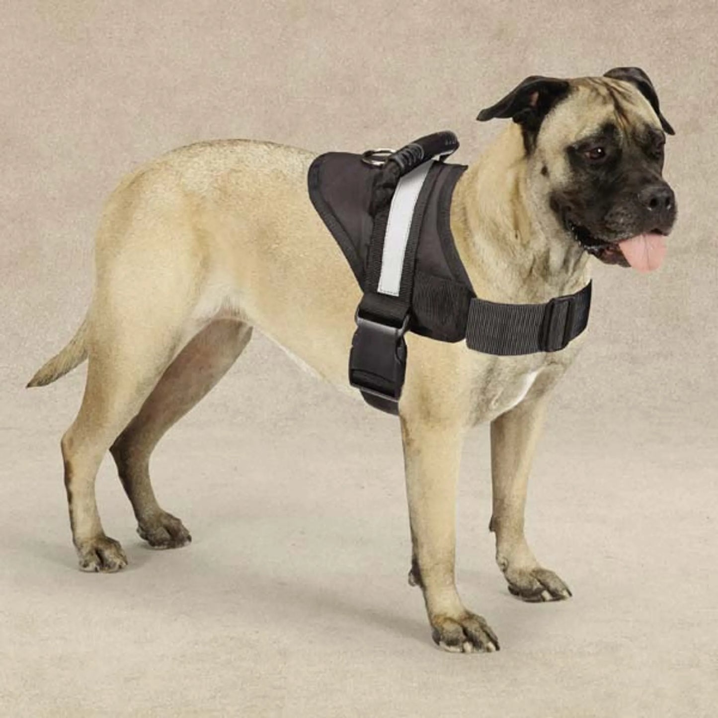 Guardian Gear Excursion Pet Harness Large