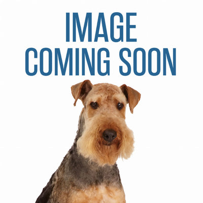 MG Aluminum Finishing Comb 10In - Your Pet Connection