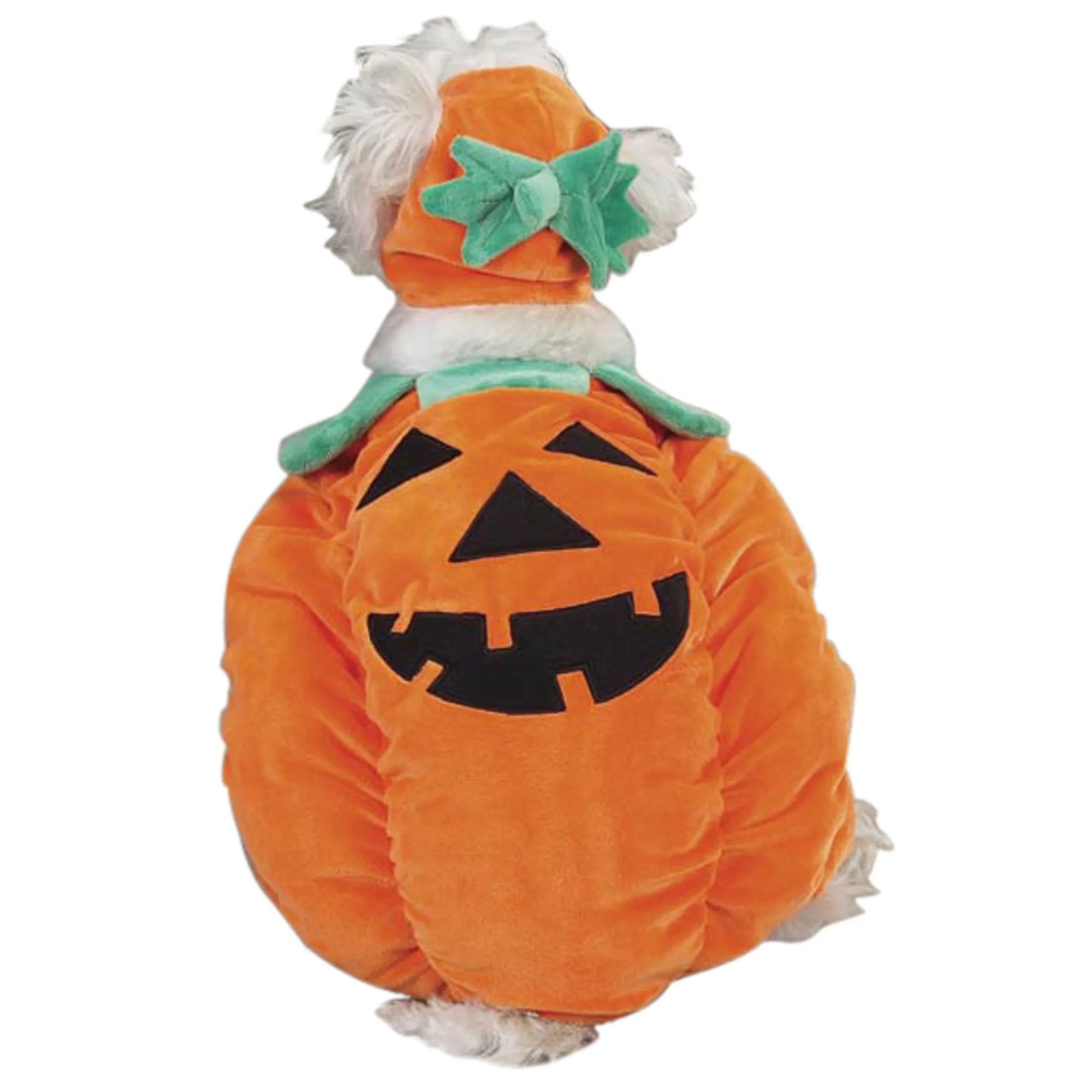 Zack & Zoey Pumpkin Pooch Costume - Your Pet Connection
