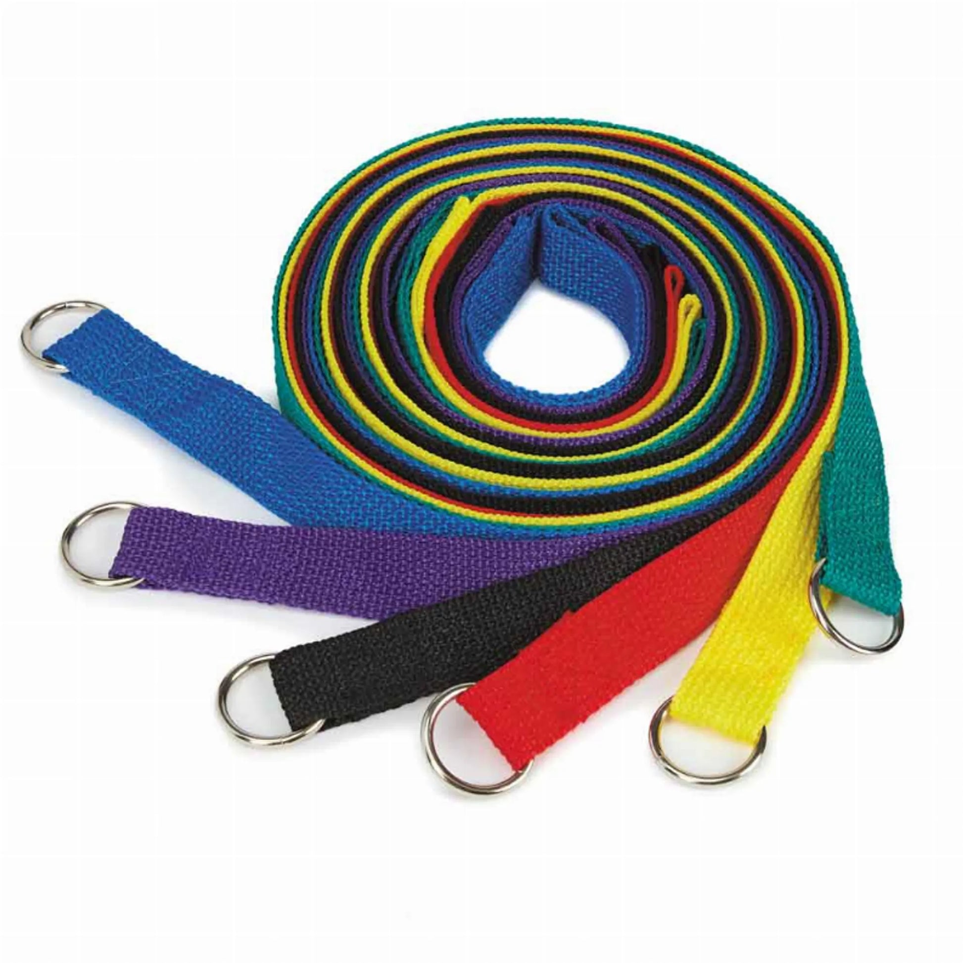 GG Kennel Lead 4Ft 6Pk Asst - Your Pet Connection