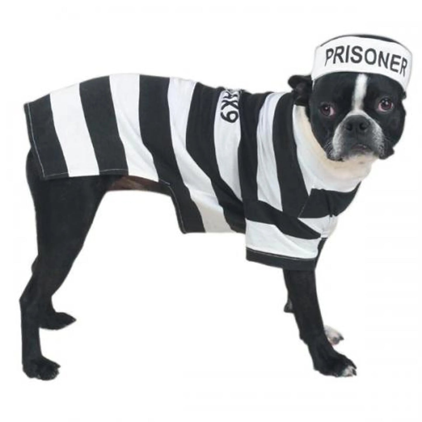 Casual Canine Prison Pooch Costume - Your Pet Connection