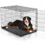 Easy Crate - Your Pet Connection