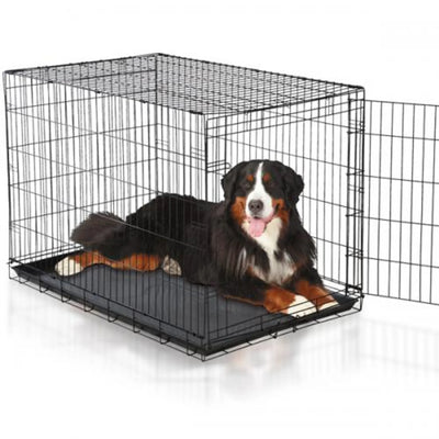 Easy Crate - Your Pet Connection