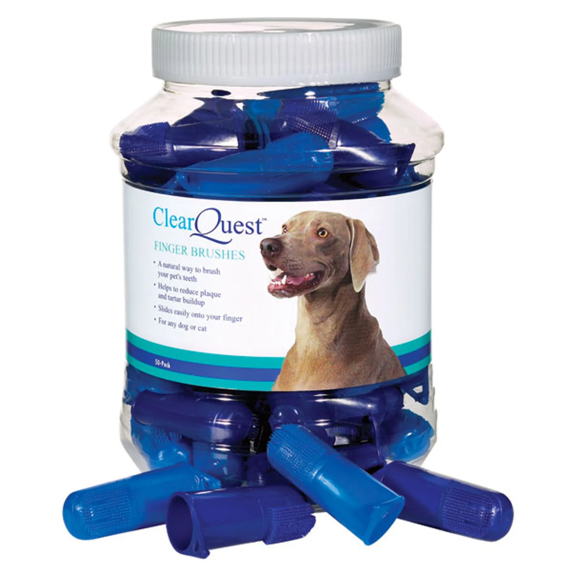 CQ Finger Brush 50Pk - Your Pet Connection