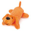 ZA Lil Yelper DGrn - Your Pet Connection