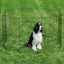 Sure Ex Pen - Your Pet Connection