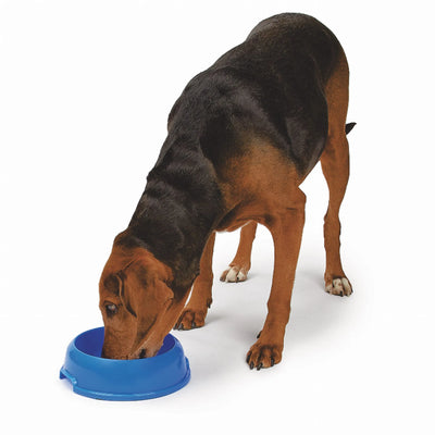 Small Single Feeder P901 - Your Pet Connection