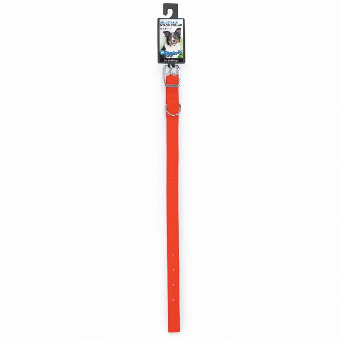 DGR 5/8in Nylon Collar 10in Blue - Your Pet Connection