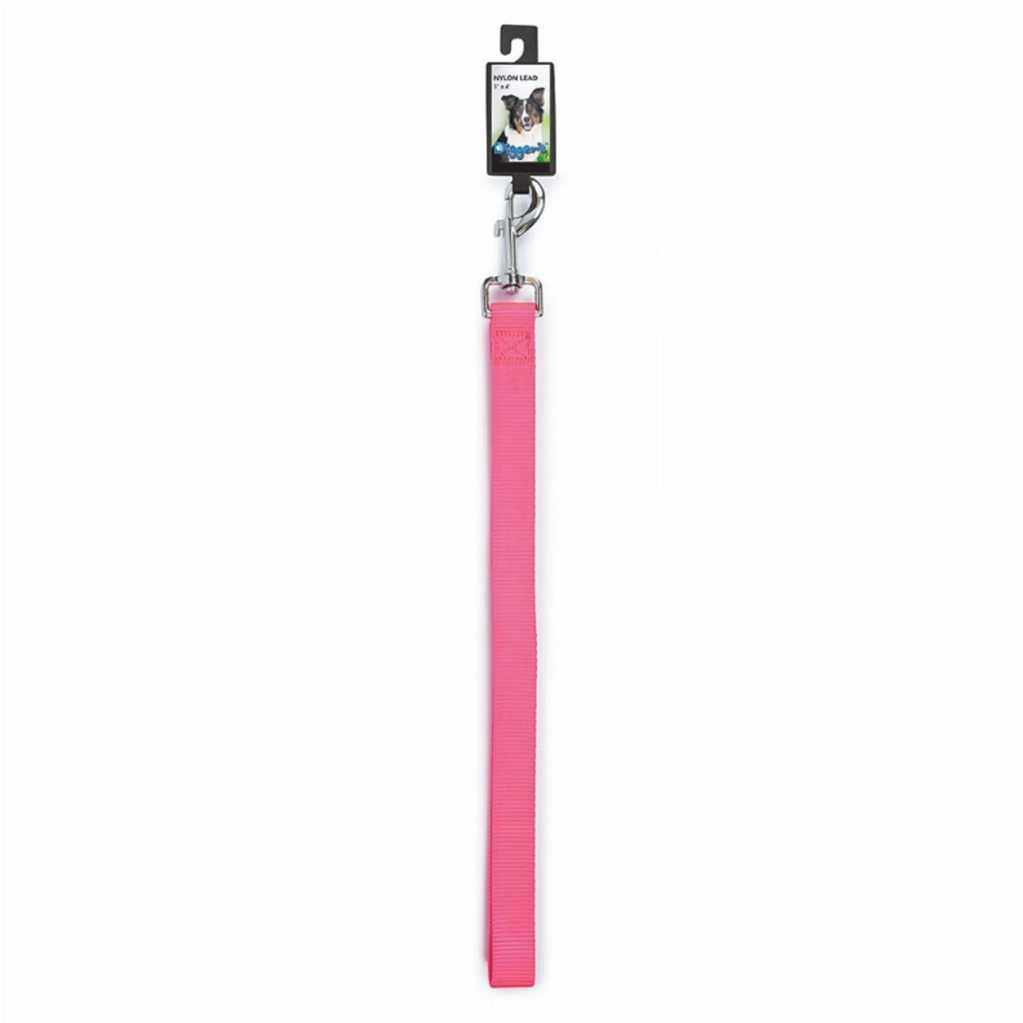 DGR 1in Nylon Lead 48in Black - Your Pet Connection