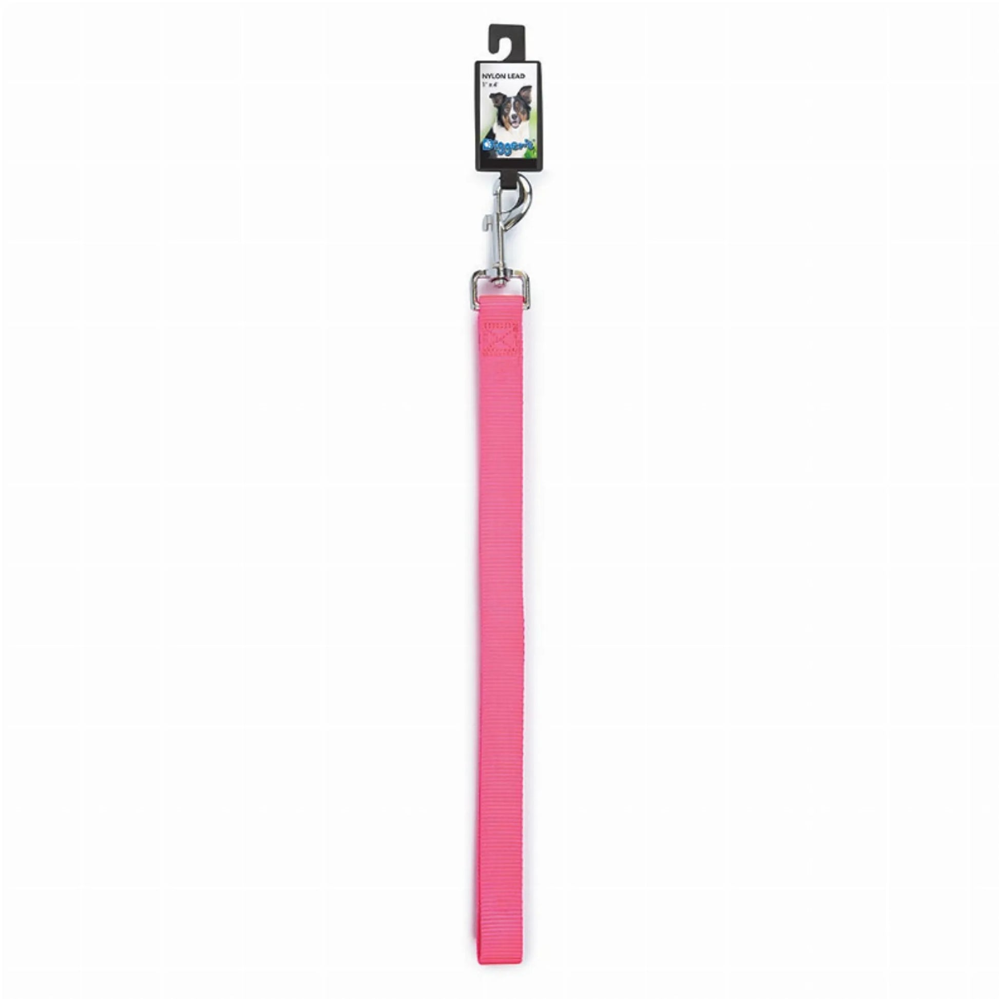 DGR 1in Nylon Lead 48in Black - Your Pet Connection