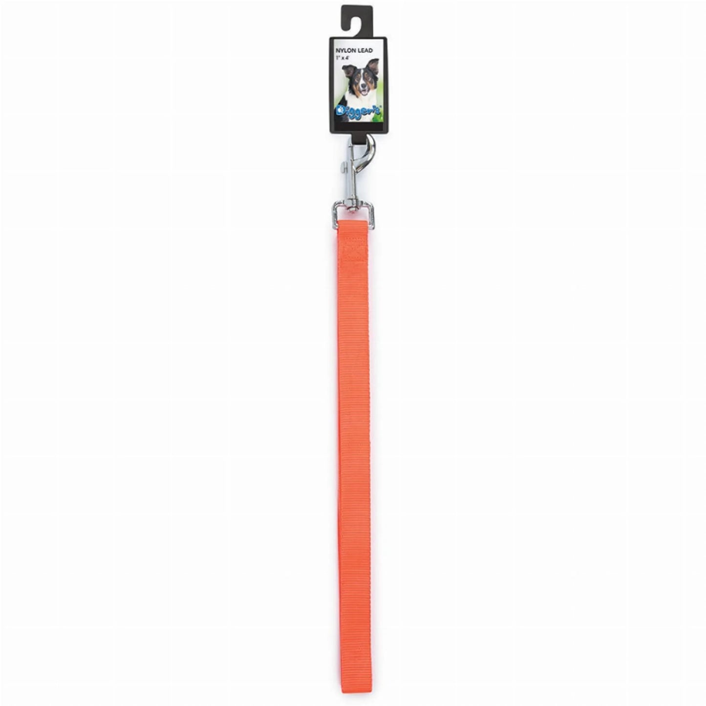 DGR 1in Nylon Lead 48in Black - Your Pet Connection