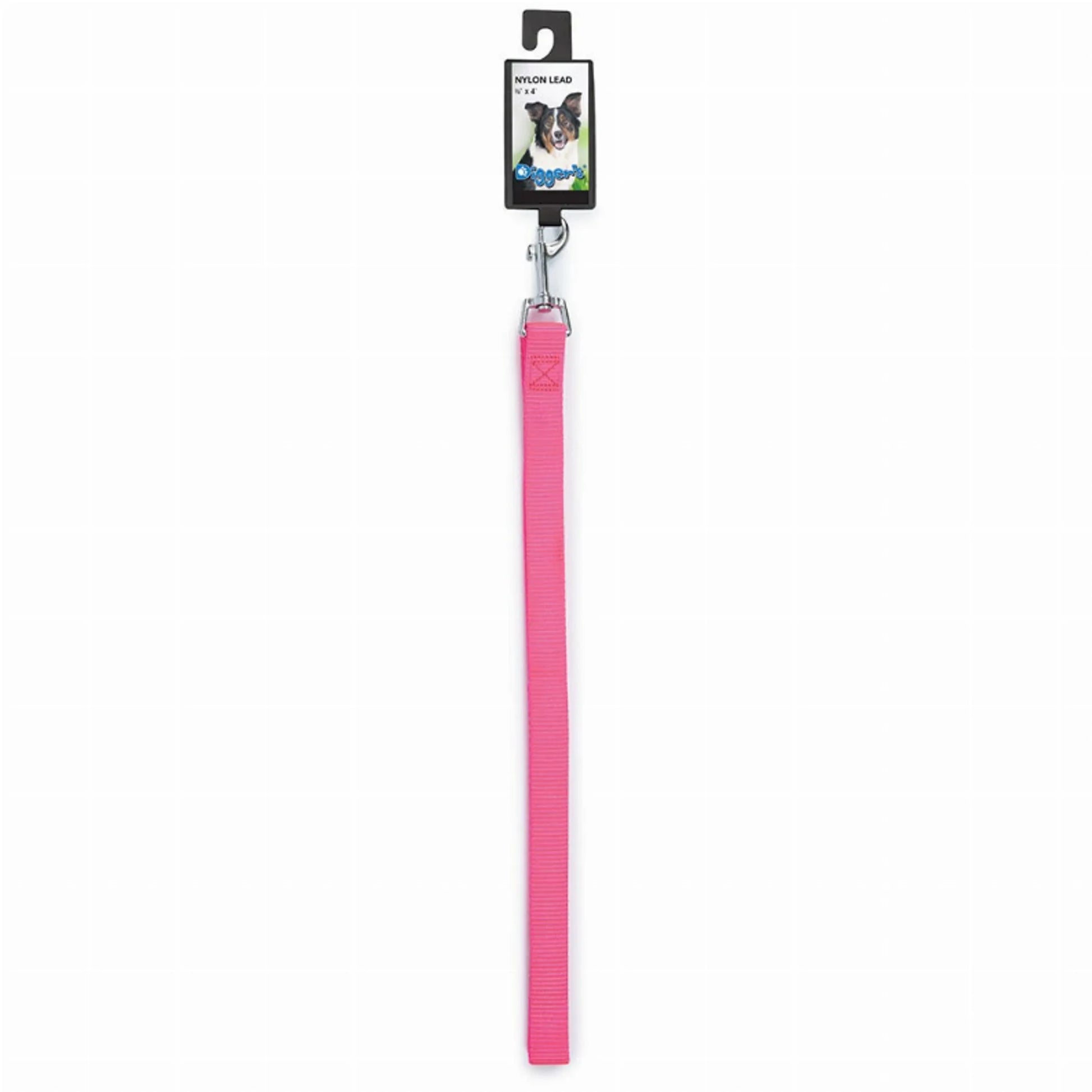 DGR 3/4in Nylon Lead 48in Blue - Your Pet Connection