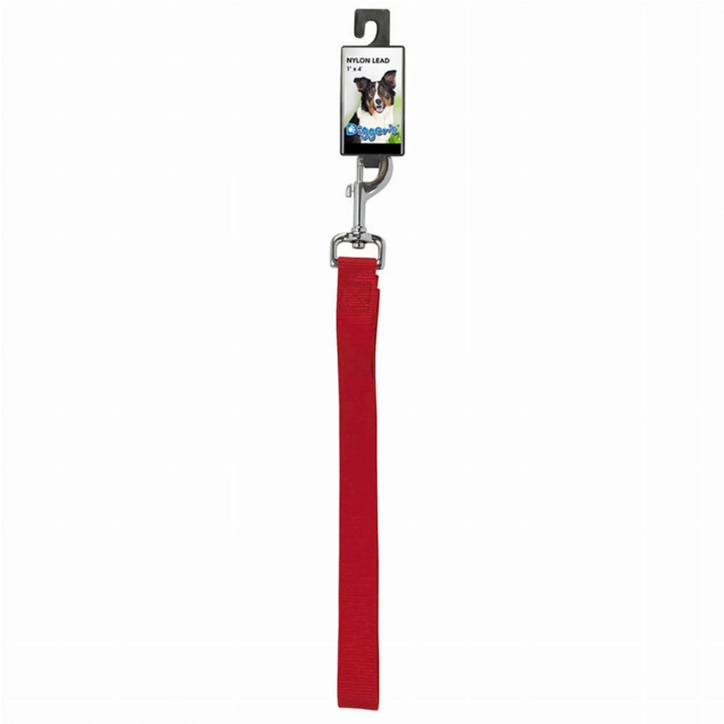 DGR 1in Nylon Lead 48in Black - Your Pet Connection