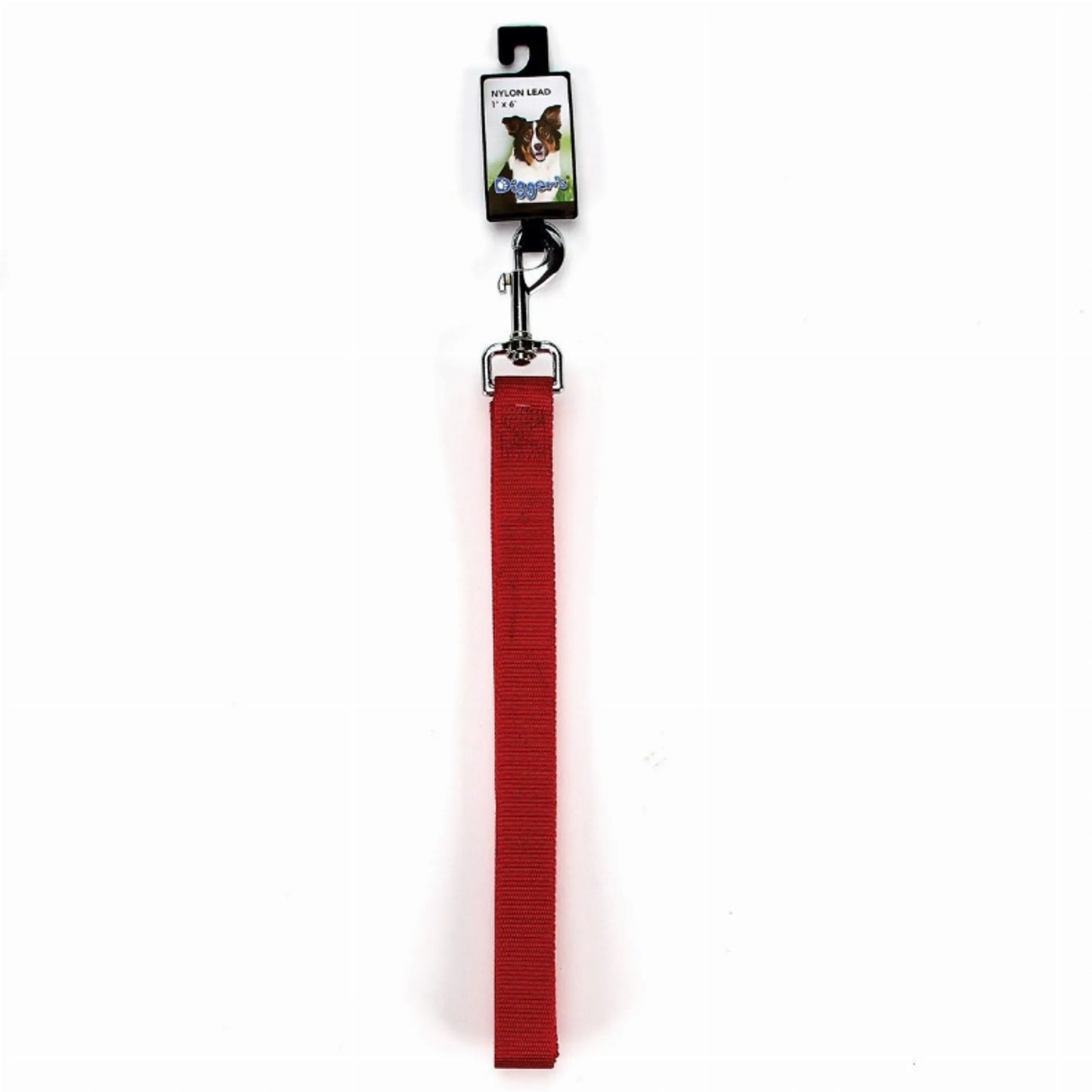 DGR 1in Nylon Lead 48in Black - Your Pet Connection