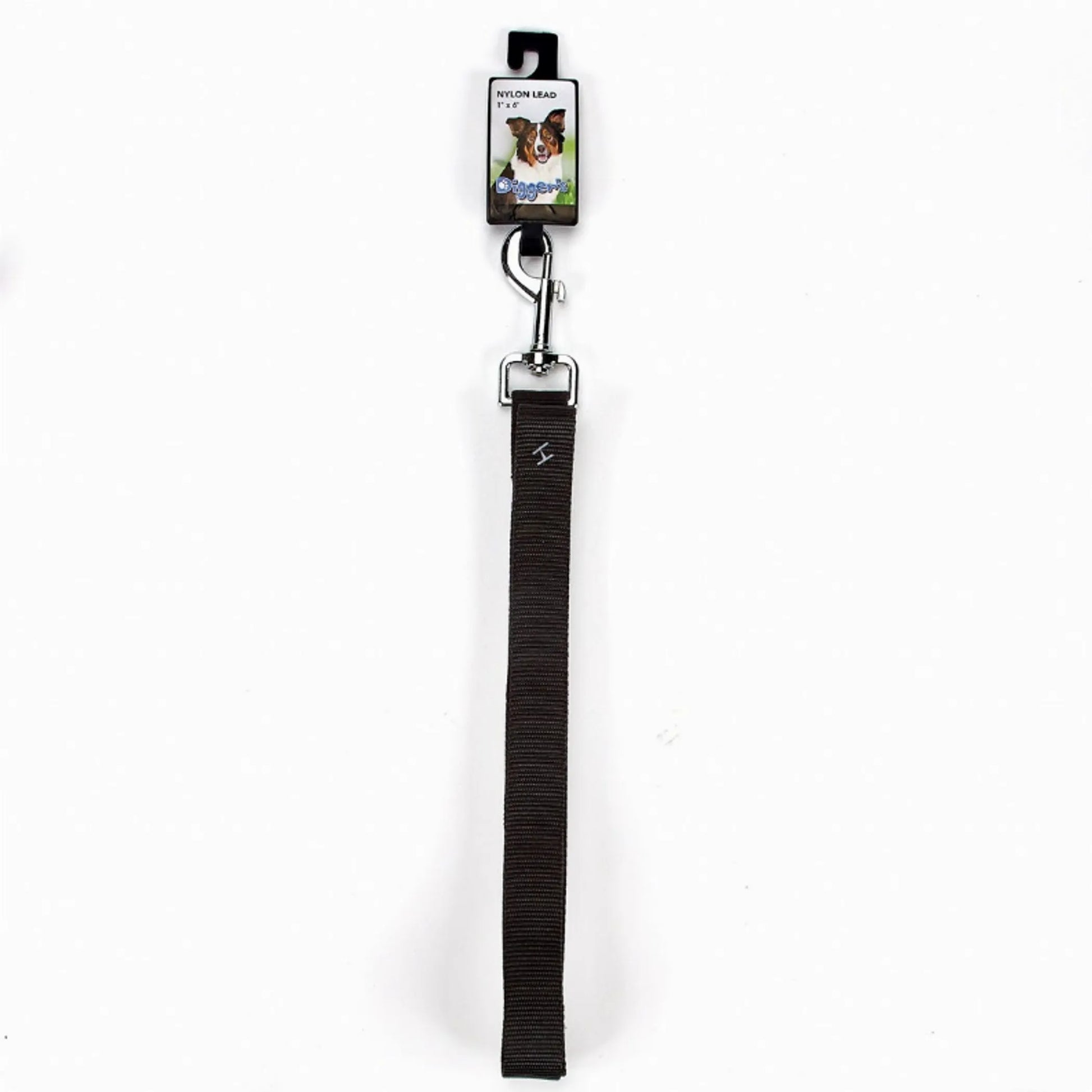 DGR 1in Nylon Lead 48in Black - Your Pet Connection