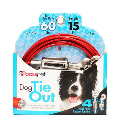 BP Tie-Out W/ Spring 15ft Lrg - Your Pet Connection