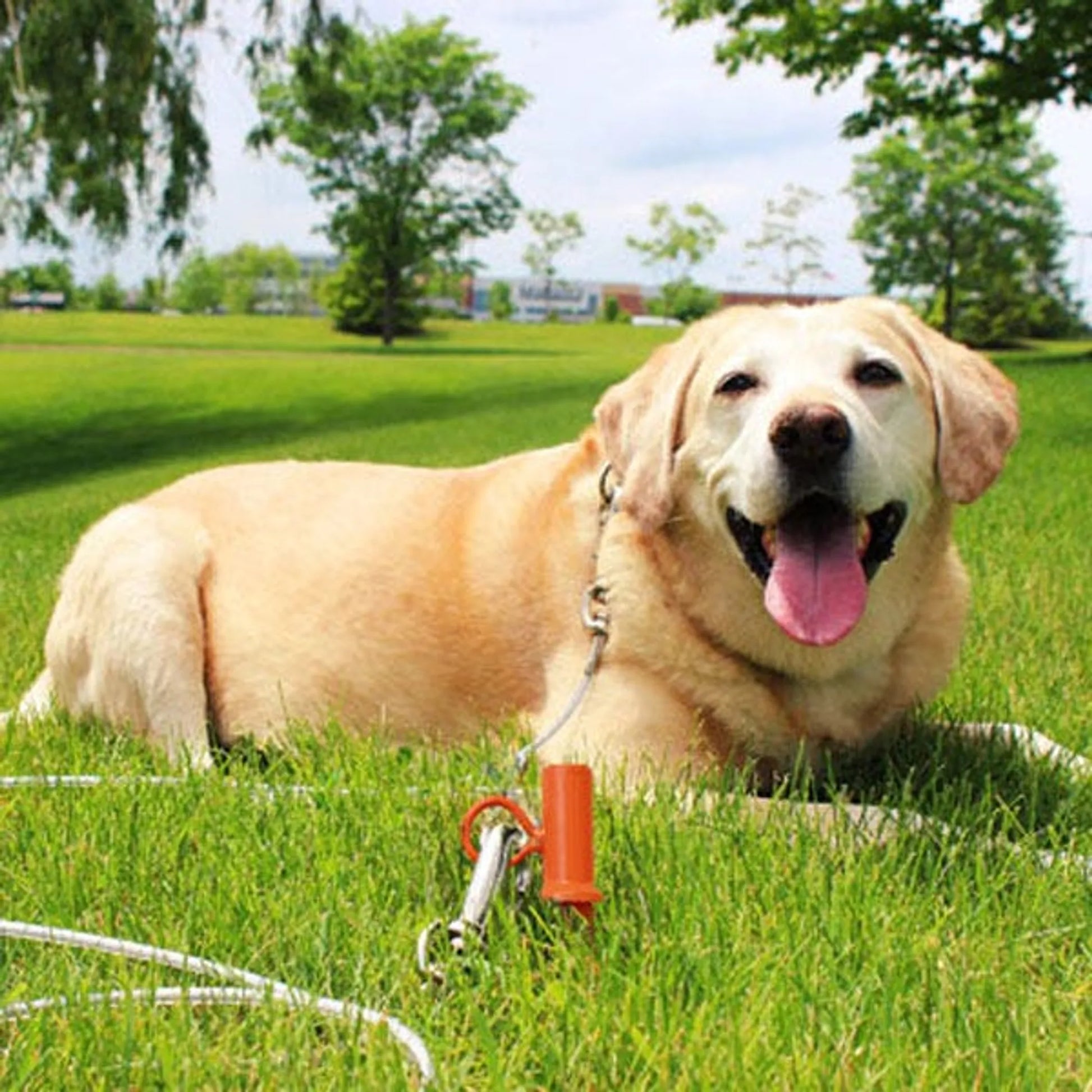 Prestige Interlock 360 Stake - Your Pet Connection