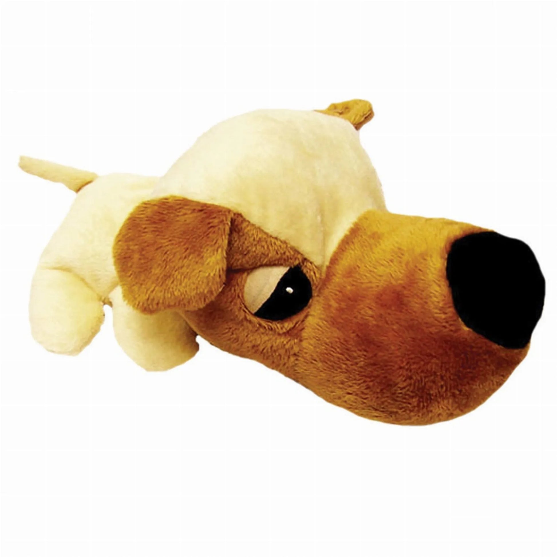 Digger's FatHedz Beagle - Your Pet Connection