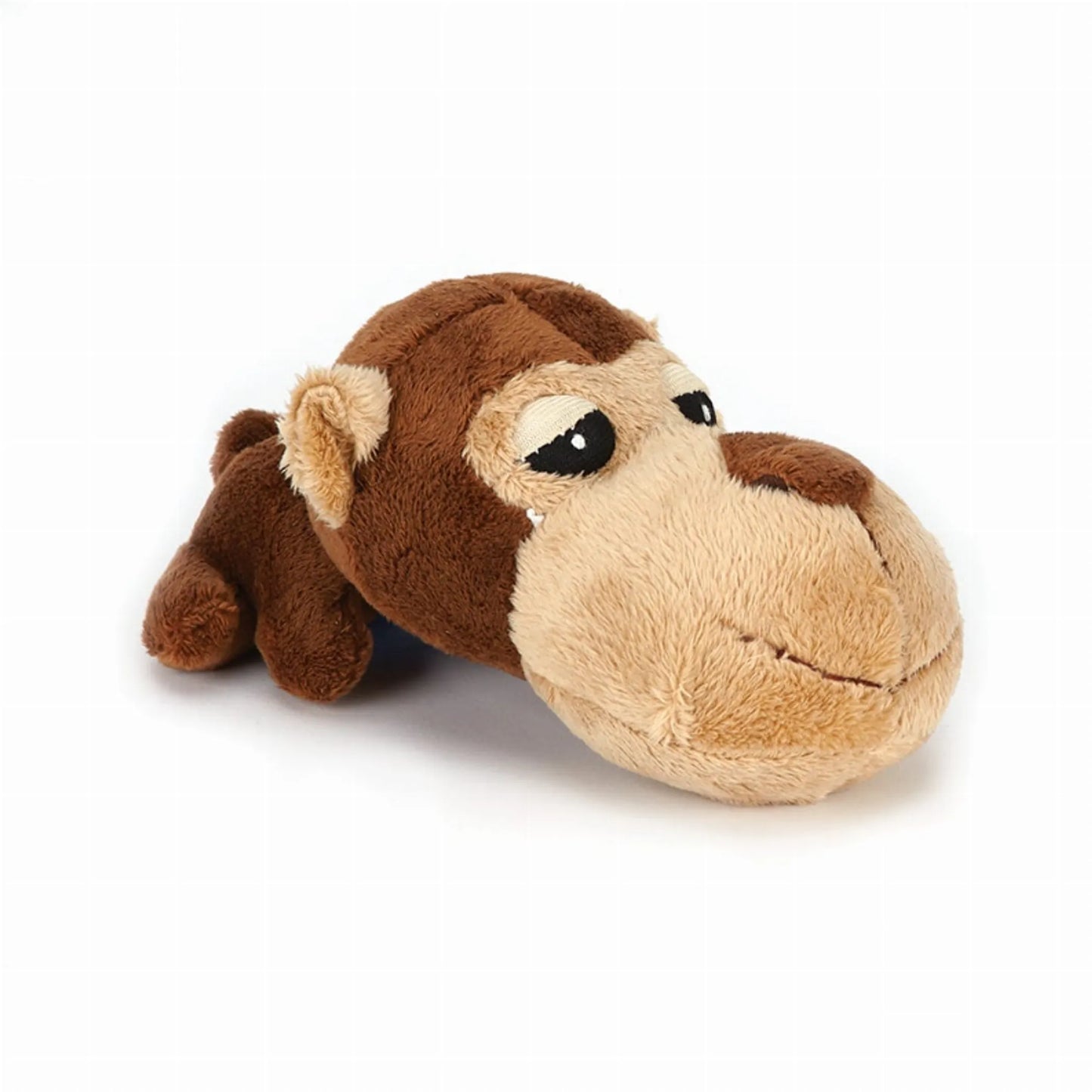 Digger's FatHedz Beagle - Your Pet Connection