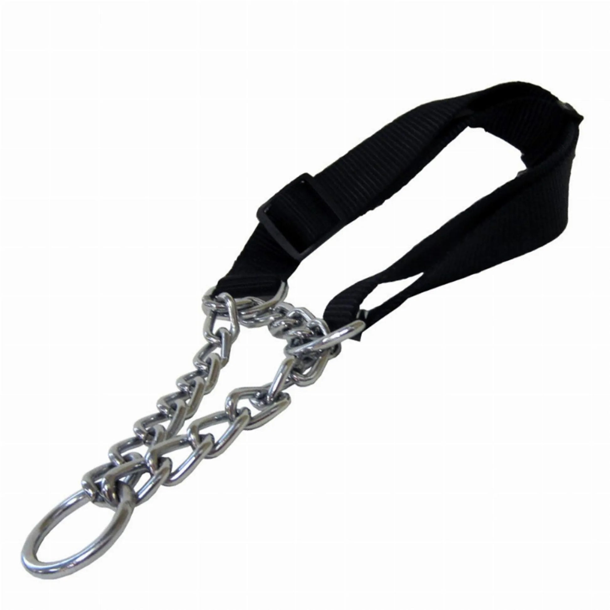 1in Black Adjustable Martingale - Your Pet Connection
