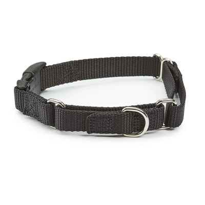 GG Martngle Cllr Quik Rlse 10-16In Blk - Your Pet Connection