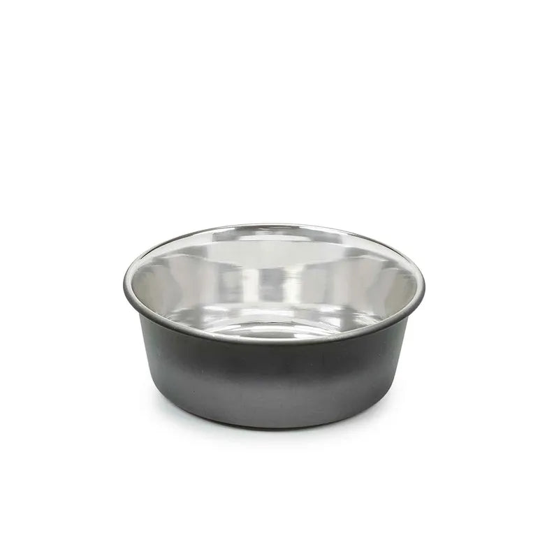 PS Stainless Steel Ombre Bowl Small - Your Pet Connection