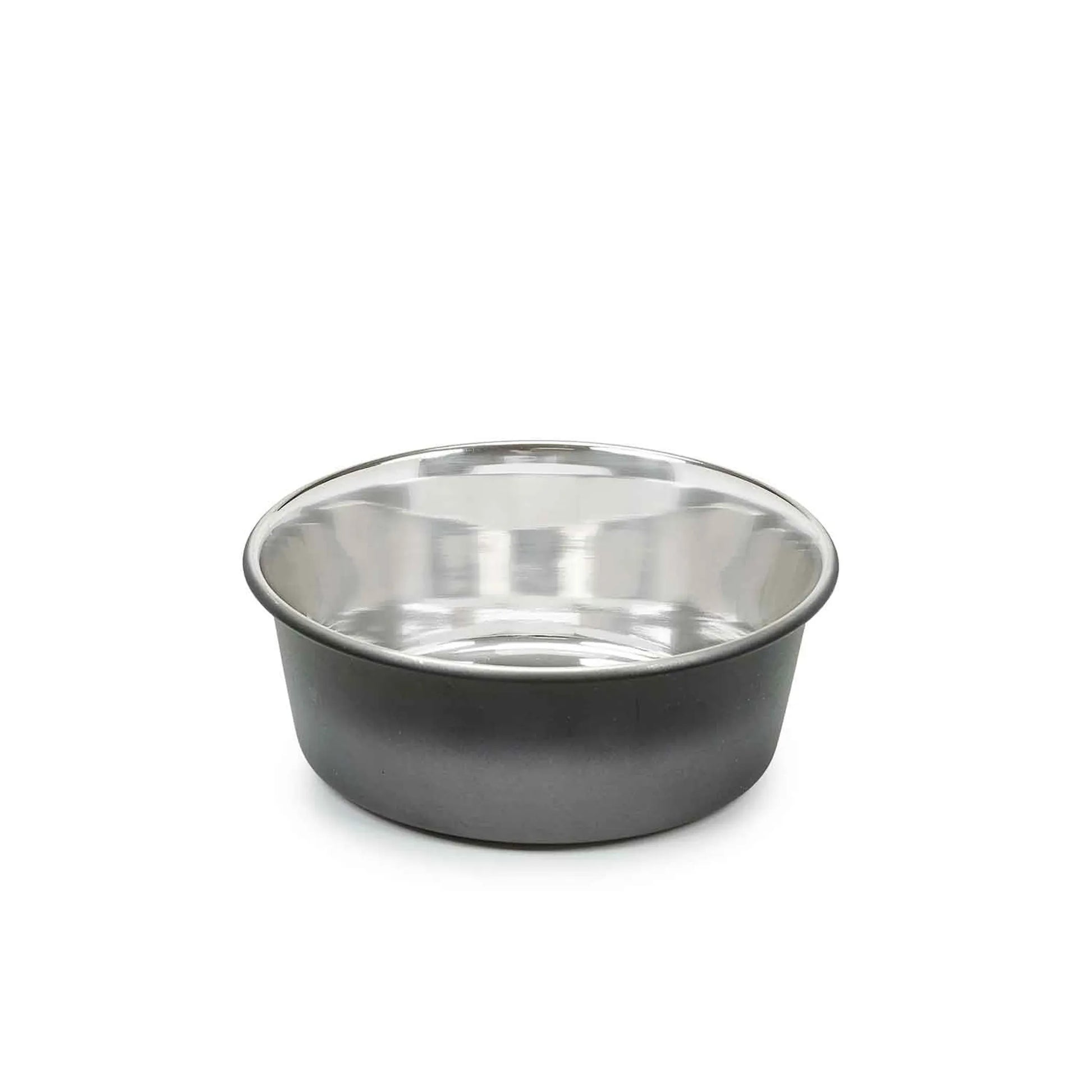 PS Stainless Steel Ombre Bowl Small - Your Pet Connection