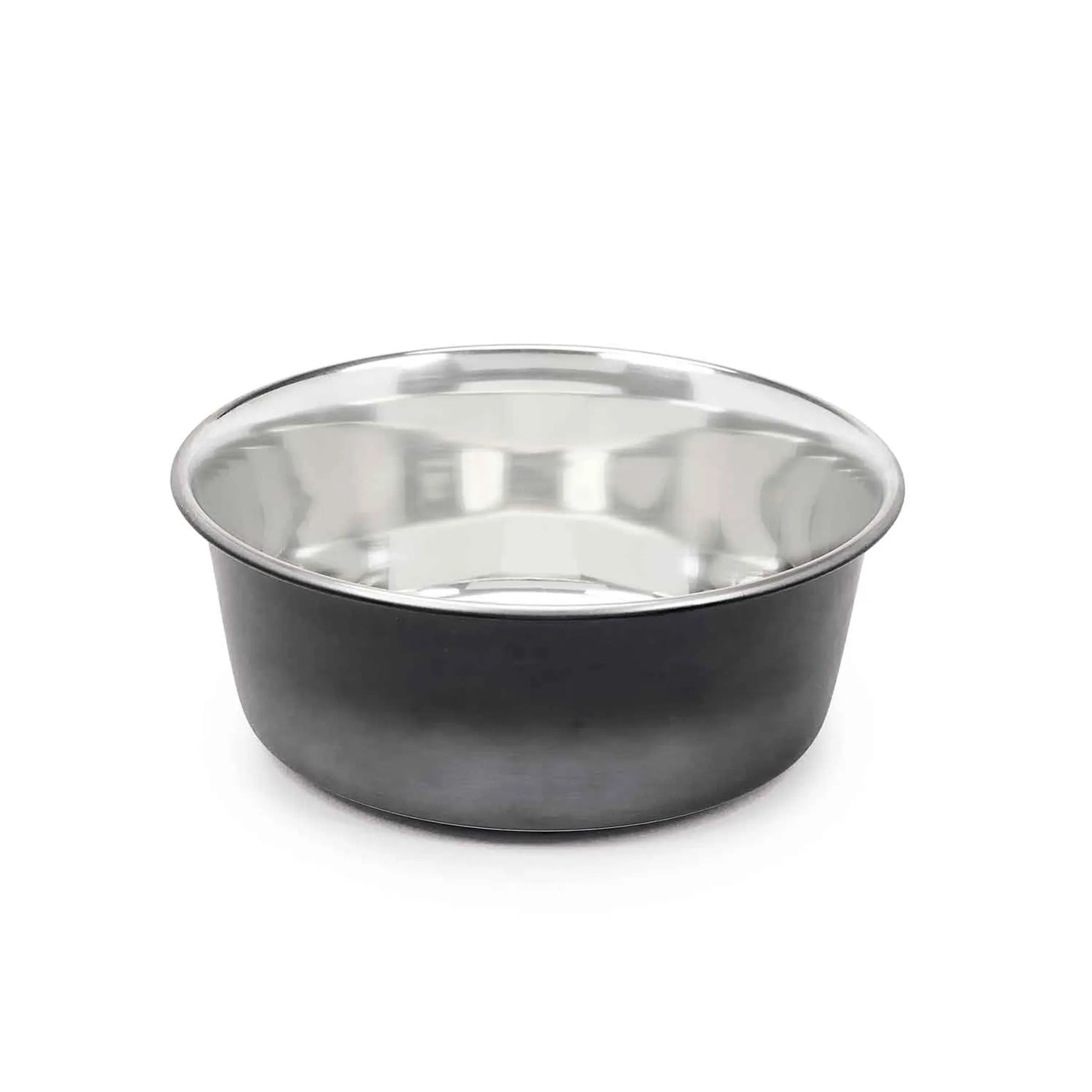 PS Stainless Steel Ombre Bowl Medium - Your Pet Connection