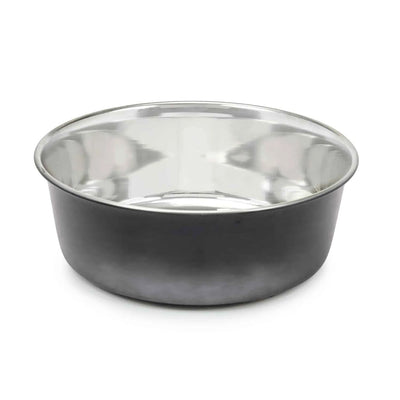 PS Stainless Steel Ombre Bowl Large - Your Pet Connection